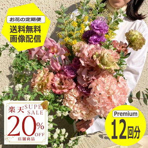 yyVX[p[SALE20OFFz yz yԂ̒ցz PremiumTCY 12 G߂̂Ԃ𖈌͂ t[TuXN  ~ju[P ԑ Mtg a LO v[g Ԃ̂