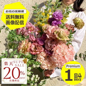 yyVX[p[SALE20OFFz yz yԂ̒ցz PremiumTCY 1 G߂̂Ԃ𖈌͂ t[TuXN  ~ju[P ԑ Mtg a LO v[g Ԃ̂