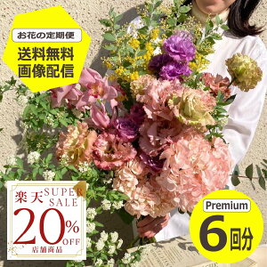 yyVX[p[SALE20OFFz yz yԂ̒ցz PremiumTCY6 G߂̂Ԃ𖈌͂ t[TuXN  ~ju[P ԑ Mtg a LO v[g Ԃ̂