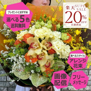 yyVX[p[SALE20OFFz yz XLTCY  Mtg IׂX^C AWg ԑ u[P  a j   җj v[g   ސE  JX 䋟 