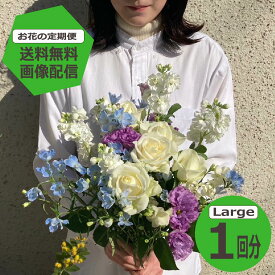 【 お花の定期便】　Largeサイズ 1回分 定期購入【送料無料】 季節のお花を毎月お届け ホワイトデー お返し フラワーサブスク 生花 ミニブーケ 花束 ギフト 誕生日 記念日 プレゼント 花のある暮らし おしゃれ フラワーアレンジメント