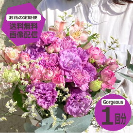 【お花の定期便】 Gorgeousサイズ 1回分 定期購入 【送料無料】　季節のお花を毎月お届け フラワーサブスク 生花 ミニブーケ 花束 ギフト 誕生日 記念日 プレゼント 花のある暮らし おしゃれ フラワーアレンジメント ホワイトデー お返し