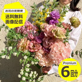 【お花の定期便】 Premiumサイズ6回分 【送料無料】 季節のお花を毎月お届け フラワーサブスク 生花 ミニブーケ 花束 ギフト 誕生日 記念日 プレゼント 花のある暮らし フラワーアレンジメント 花束 サブスク