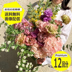 【お花の定期便】 Premiumサイズ 12回分 【送料無料】 季節のお花を毎月お届け フラワーサブスク 生花 ミニブーケ 花束 ギフト 誕生日 記念日 プレゼント 花のある暮らし おしゃれ フラワーアレンジメント ハロウィン