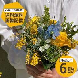 【お花の定期便】 Mediumサイズ 6回分 【送料無料】 季節のお花を毎月お届け ホワイトデー お返し サブスク 生花 ミニブーケ 花束 ギフト 誕生日 記念日 プレゼント 花のある暮らし フラワーアレンジメント 花のサブスク 母の日
