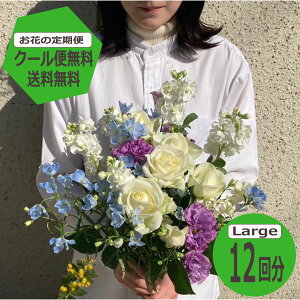 y}\|Cg7{{200~OFFN[|z yN[֖zyzyԂ̒ցz LargeTCY12 G߂̂Ԃ𖈌͂ t[TuXN  ~ju[P ԑ Mtg a