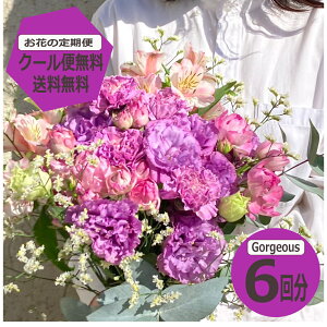 y}\|Cg7{{200~OFFN[|z yN[֖zyzyԂ̒ցzGorgeousTCY6 G߂̂Ԃ𖈌͂ t[TuXN  ~ju[P ԑ Mtg a