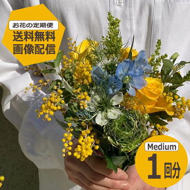 【お花の定期便】 Mediumサイズ 1回分　定期購入 【送料無料】 季節のお花を毎月お届け フラワーサブスク 生花 ホワイトデー お返し ミニブーケ 花束 ギフト 誕生日 記念日 プレゼント 花のある暮らし おしゃれ フラワーアレンジメント