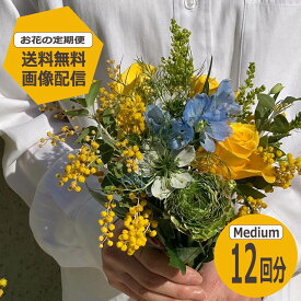 【お花の定期便】 Mediumサイズ12回分 【送料無料】 季節のお花を毎月お届け フラワー サブスク 生花 ミニブーケ 花束 ギフト 誕生日 記念日 プレゼント 花のある暮らし おしゃれ フラワーアレンジメント サブスク ギフト