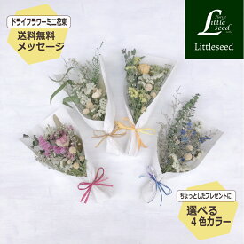 【ドライフラワー 花束】 選べる4色カラー メッセージカード付き 送料無料 父の日 母 女性 ギフト プレゼント 誕生日 記念日 結婚祝い 卒業 卒業式 入学 謝恩会 インテリア フラワー ブーケ 長持ちするお花 フラワーギフト