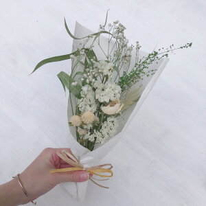 yhCt[ ԑz Iׂ4FJ[ bZ[WJ[ht  Mtg v[g a LO j ̓  w  CeA i`t[ u[P 