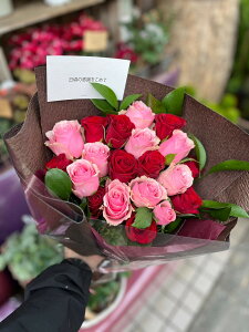 yz MTCY  Mtg IׂX^C AWg ԑ u[P o u[P  a j   җj v[g   ސE Ԃ JX 䋟  LO