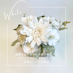 yz A[gt[AWg 4500~  t[Mtg S5F IׂJ[ CeA ԑ a LO j Vzj v[g   J[ A[