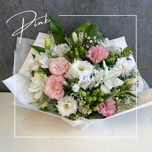 yyVX[p[SALE20OFFz yz ԃAWM   Mtg ފ AWg   V~ ~     l\ @v    O