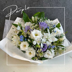 y}\|Cg10{z yz ԃAWM   Mtg ފ AWg   V~ ~     l\ @v   