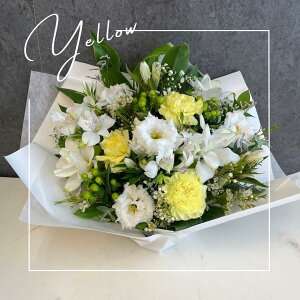 y}\10OFFN[|!!z@yz ԃAWM   Mtg ފ AWg   V~ ~     l\ @v   