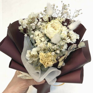 yyVX[p[SALE50OFFz@yz yhCt[ ~ju[Pz Iׂ4FJ[ bZ[WJ[ht  Mtg v[g a LO j  w  