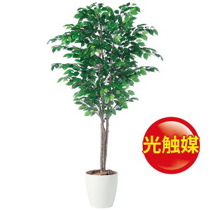 光触媒 大型 人工観葉植物 観葉植物の通販 価格比較 価格 Com