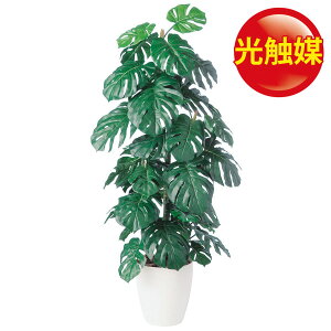 観葉植物 人工観葉植物 大型の通販 価格比較 価格 Com