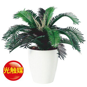 観葉植物 人工観葉植物 ソテツの人気商品 通販 価格比較 価格 Com