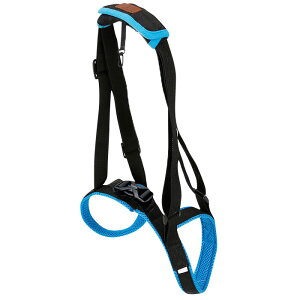 p n[lX 㑫 s⏕ T|[g V ^ ^ nr  ȒP   O U