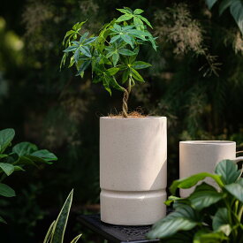 植木鉢 北欧風 プランター 観葉植物用 大型 方形 口径16.5~31cm 7 8 9 10号 軽量 深型 穴付き おしゃれ 室内 屋外対応 耐候性 フラワーポット ガーデンポット ホワイト コンクリート風