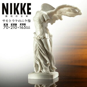 �y���������z �����̏��_NIKKE �T���g���P�̃j�P�����v���J ���T�C�Y �k���� �΍p�������� �l���� �V�g �f�b�T�� �C���e���A �f�b�T