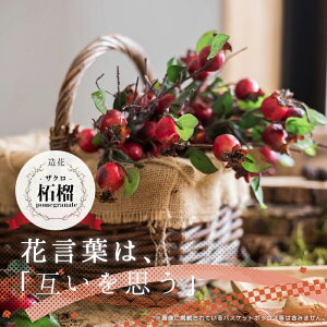 yz AtFCNt[ ў UNpomegranate A[eBtBVt[ Vv k K[fjO  tFCNO[ CeAt[  A u[P 