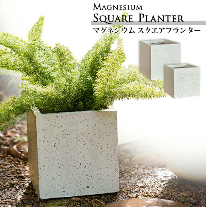 楽天市場】正方形 プランター 植木鉢 底穴付き 直径18~22.5cm 6 7号 