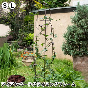 yzAeB[N ACA o[hNC~Ot[  t[ CeA ACA ACAoXPbg o[hQ[W o[hQ[WX^h vgz_[ AC