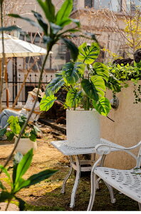 ~^ ^ v^[ Aؔ ϗtA   O  ϗtA | ͔| ʋCǍD @\ y [^  }OlVE |pi K[fjO ƒ؉ A x_ 