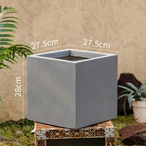 ��^ �v�����^�[ �����` �~���` �A�ؔ� �ϗt�A���� ������� �[�^ �y�� �ʋC���ǍD �}�O�l�V�E���� ���� ���O ���� �K�[�f�j���O ���| �ƒ�؉� �A�� �x�����_ ���A�� �e�� plant