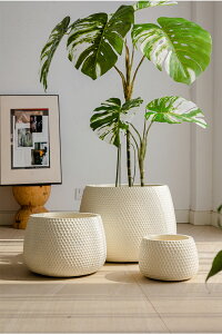 ^ v^[ | K[fjO ƒ؉ Aؔ ϗtA  ʋCǍD [^ y  }OlVE  O x_ A A e plant