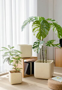 ^ v^[ ` ʋCǍD [^ y  Aؔ ϗtA }OlVE  O | K[fjO x_ ƒ؉ A A e plant