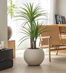 ^ v^[ ی^ }OlVE Aؔ ϗtA  [^ ʋCǍD y   O  | K[fjO ƒ؉ A x_ A e plant