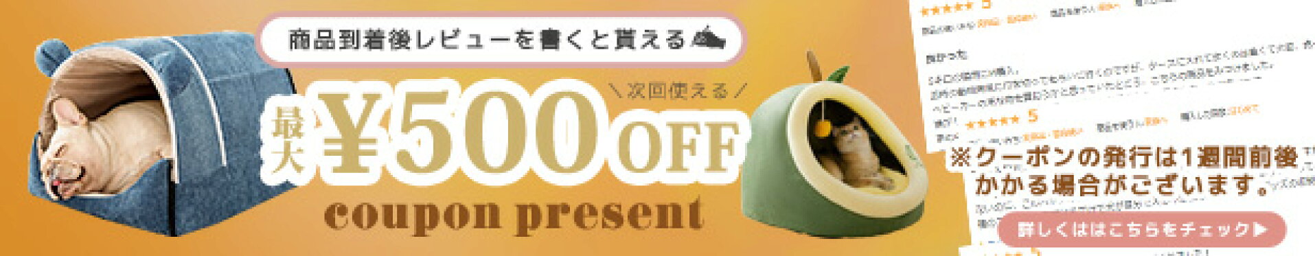 レビューでクーポンプレゼント