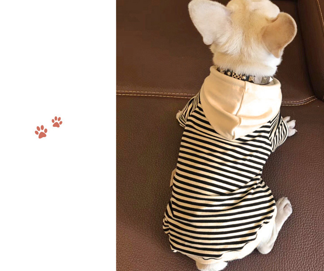 楽天市場】犬の服 ドッグウェア パーカー 小型犬 猫 フード付き 半袖