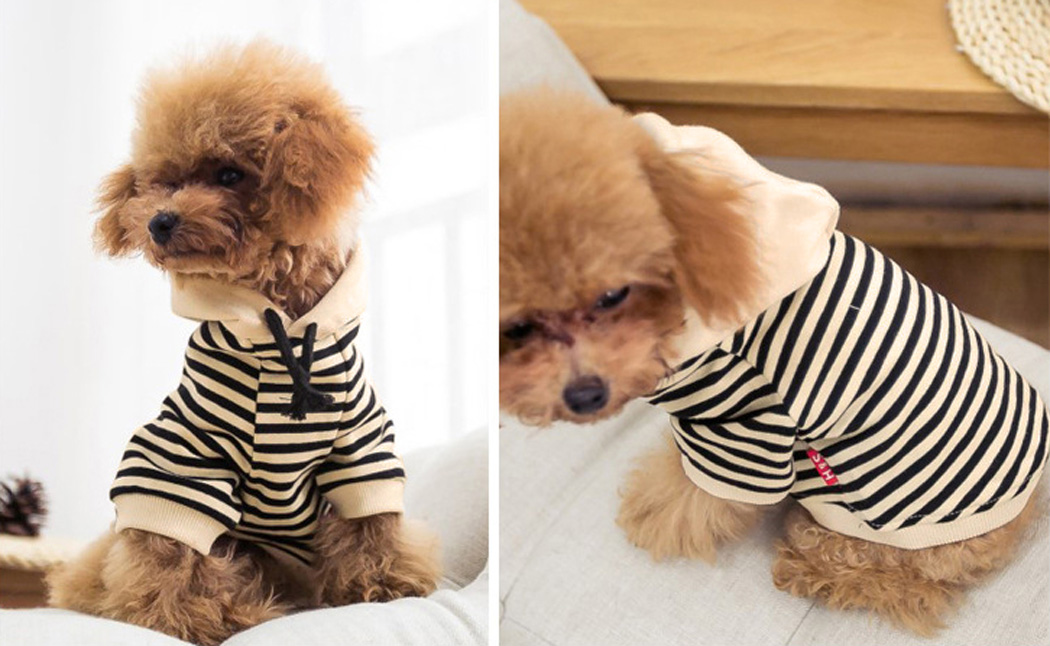 楽天市場】犬の服 ドッグウェア パーカー 小型犬 猫 フード付き 半袖