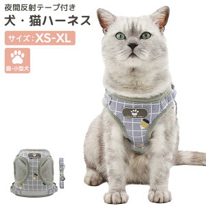 _10OFFZ[I^ n[lX [h Zbg ^ L   p Lp `FbN ˃e[vt tbN ȒPE TCY\ }WbNe[v  bV ʋC 