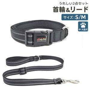   [h 2_Zbg  ybgObY  񂿂 ^ ^ U  铹 ˃e[v S΍ X|[eB  F c[gJ[ uJ[ Xeb` }WbNe