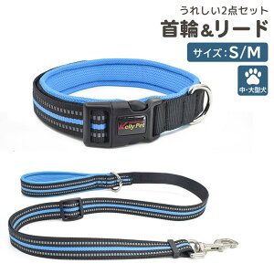   [h 2_Zbg  ybgObY  񂿂 ^ ^ U  铹 ˃e[v S΍ X|[eB  F c[gJ[ uJ[ Xeb` }WbNe