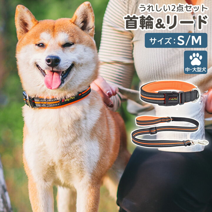 楽天市場】犬 首輪 リード 2点セット おしゃれ ペットグッズ いぬ わん 