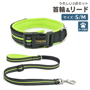   [h 2_Zbg  ybgObY  񂿂 ^ ^ U  铹 ˃e[v S΍ X|[eB  F c[gJ[ uJ[ Xeb` }WbNe