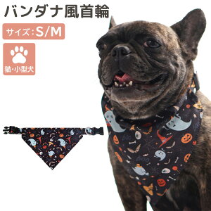  o_i L  ^ qL q ybgObY  nEB ڂ   vg XJ[t  􂦂 O\ xg AWX^[ obN ȒP O D