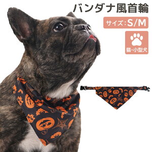  o_i L  ^ qL q ybgObY  nEB ڂ   vg XJ[t  􂦂 O\ xg AWX^[ obN ȒP O D