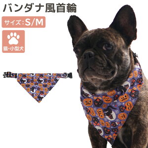  o_i L  ^ qL q ybgObY  nEB ڂ   vg XJ[t  􂦂 O\ xg AWX^[ obN ȒP O D