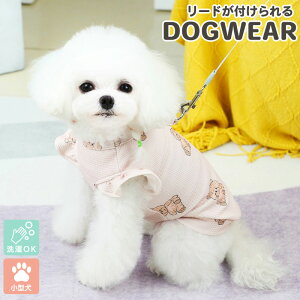   ^ efBxA Ȃ t gbvX [hOt ʐn  炳 ɂ 񂿂 ybgEFA hbOEFA pEFA 􂦂 Xgb` XgXt