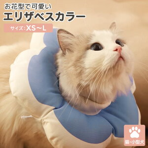 GUxXJ[  ^ L ybg ybgObY  h[ic \tg y NbV  ʋC    Xgbp[   p p PApi D  ی   