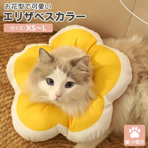 GUxXJ[  ^ L ybg ybgObY  h[ic \tg y NbV  ʋC    Xgbp[   p p PApi D  ی   