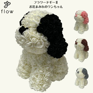 t[hM[Ԃ܂݂̃EEoEv[gEaEEoYE̓ELOECpNgEMtgEڗE킢Et[Mtg